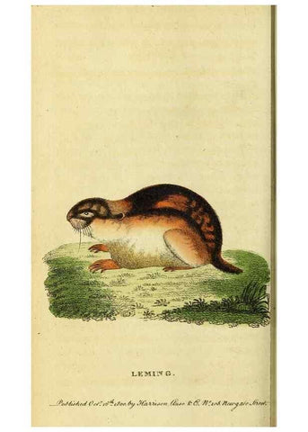 Reproducción/Reproduction 49096442527: The Naturalist's Pocket Magazine or compleat cabinet of the curiosities and beauties of nature.. London.. 
