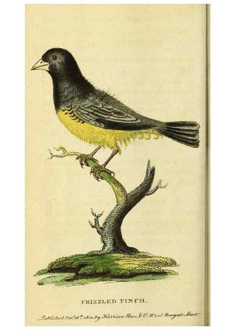 Reproducción/Reproduction 49096442892: The Naturalist's Pocket Magazine or compleat cabinet of the curiosities and beauties of nature.. London.. 