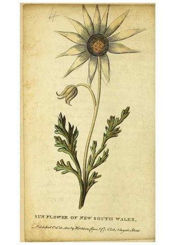 Reproducción/Reproduction 49095739343: The Naturalist's Pocket Magazine or compleat cabinet of the curiosities and beauties of nature.. London.. 