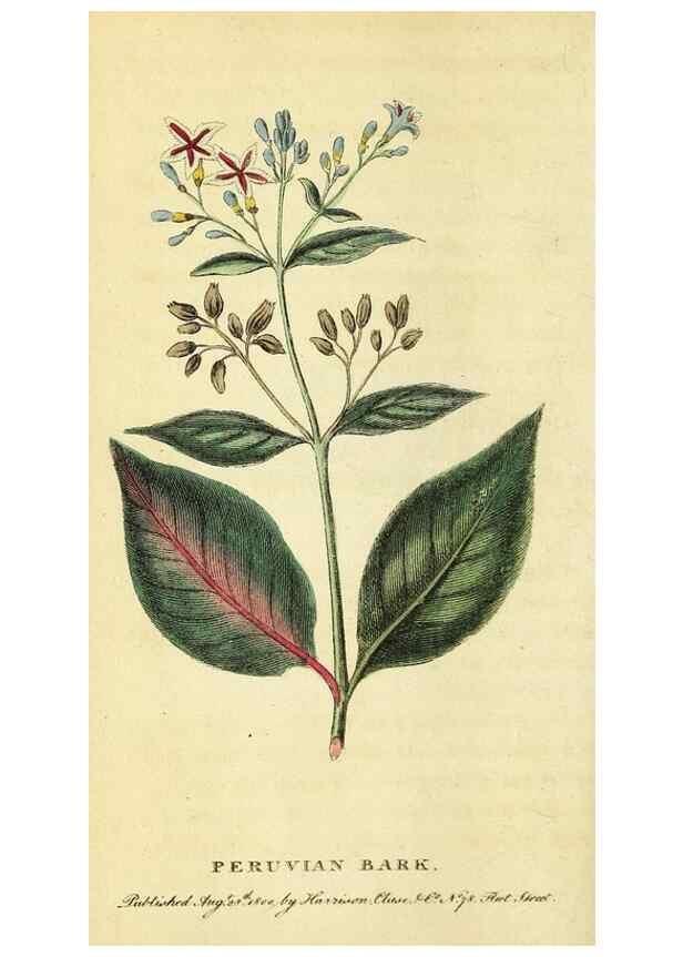 Reproducción/Reproduction 49095730613: The Naturalist's Pocket Magazine or compleat cabinet of the curiosities and beauties of nature.. London.. 
