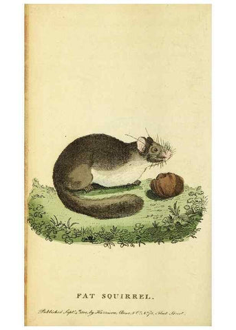 Reproducción/Reproduction 49096245101: The Naturalist's Pocket Magazine or compleat cabinet of the curiosities and beauties of nature.. London.. 