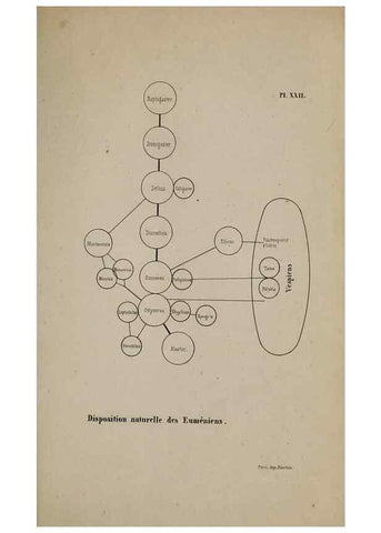 Reproducción/Reproduction 48749280482: Études sur la famille des vespides /. Paris :V. Masson ;1852-1858.. 