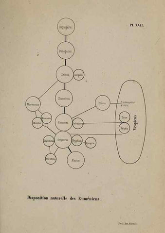 Reproducción/Reproduction 48749280482: Études sur la famille des vespides /. Paris :V. Masson ;1852-1858.. 