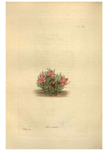 Reproducción/Reproduction 48754067481: The botanical cabinet. London :John & Arthur Arch ...,1817-1833.. 
