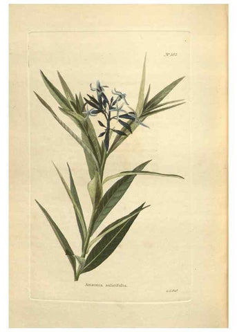 Reproducción/Reproduction 48754073646: The botanical cabinet. London :John & Arthur Arch ...,1817-1833.. 
