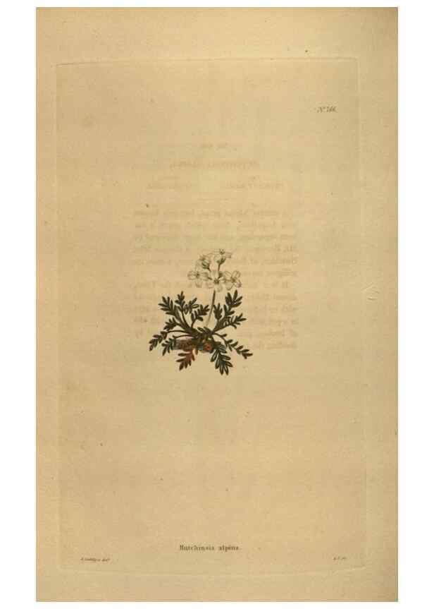 Reproducción/Reproduction 48754245631: The botanical cabinet. London :John & Arthur Arch ...,1817-1833.. 