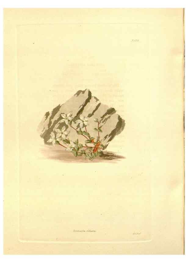 Reproducción/Reproduction 48754134366: The botanical cabinet. London :John & Arthur Arch ...,1817-1833.. 