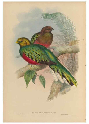 Reproducción/Reproduction 48706289961: A monograph of the Trogonidae or family of trogons.. London,1858-1875.. 