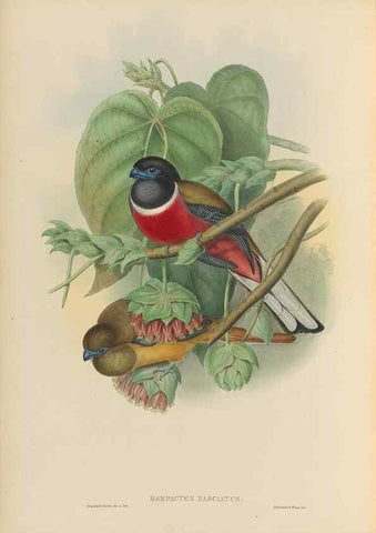 Reproducción/Reproduction 48706519172: A monograph of the Trogonidae or family of trogons.. London,1858-1875.. 