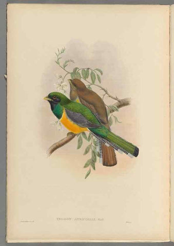 Reproducción/Reproduction 48706548697: A monograph of the Trogonidae or family of trogons.. London,1858-1875.. 