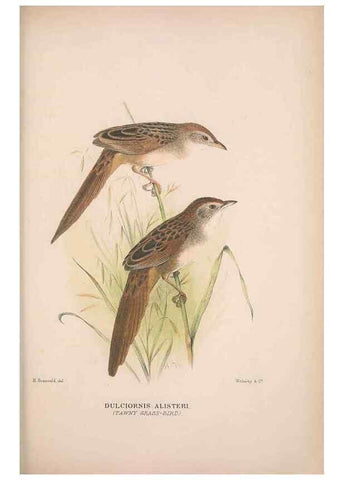 Reproducción/Reproduction 48684818151: The Birds of Australia. London :Witherby & Co.,1910-1927.. 