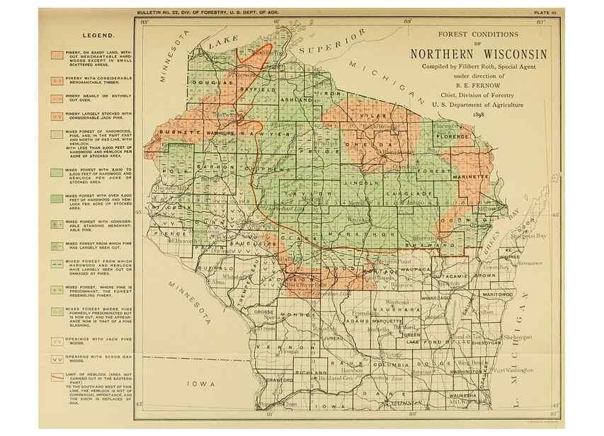 Reproducción/Reproduction 48716298948: The timber pines of the southern United States,. Washington,Govt. Print. Off.,1896.. 