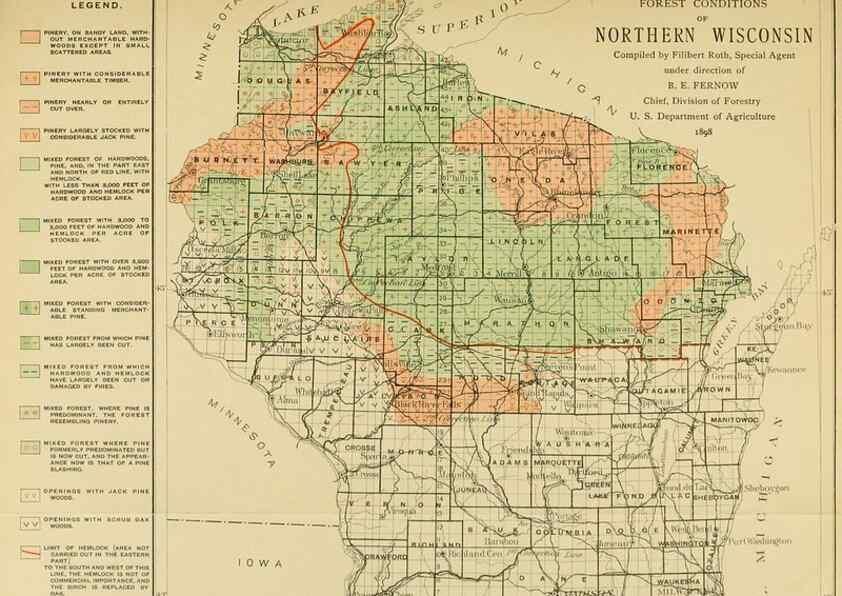 Reproducción/Reproduction 48716298948: The timber pines of the southern United States,. Washington,Govt. Print. Off.,1896.. 
