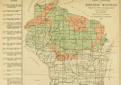 Reproducción/Reproduction 48716298948: The timber pines of the southern United States,. Washington,Govt. Print. Off.,1896.. 