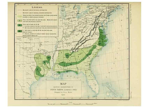 Reproducción/Reproduction 48716798317: The timber pines of the southern United States,. Washington,Govt. Print. Off.,1896.. 