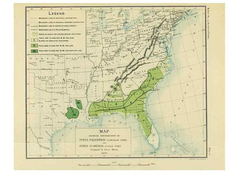 Reproducción/Reproduction 48716290083: The timber pines of the southern United States,. Washington,Govt. Print. Off.,1896.. 
