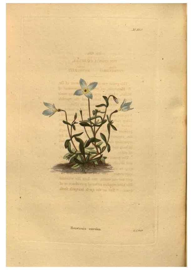 Reproducción/Reproduction 48755512836: The botanical cabinet. London :John & Arthur Arch ...,1817-1833.. 