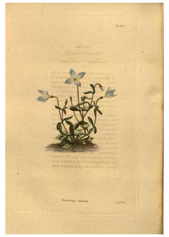 Reproducción/Reproduction 48755512836: The botanical cabinet. London :John & Arthur Arch ...,1817-1833.. 