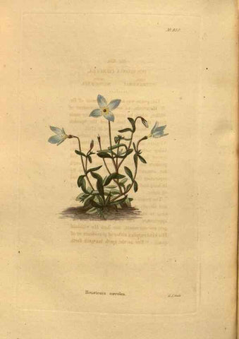 Reproducción/Reproduction 48755512836: The botanical cabinet. London :John & Arthur Arch ...,1817-1833.. 