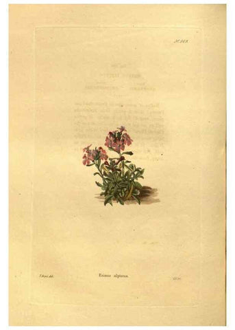 Reproducción/Reproduction 48755719227: The botanical cabinet. London :John & Arthur Arch ...,1817-1833.. 