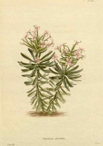 Reproducción/Reproduction 48783005407: The botanical cabinet. London :John & Arthur Arch ...,1817-1833.. 