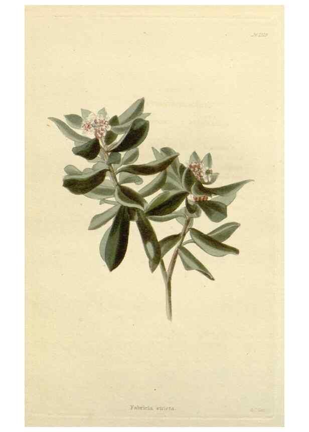 Reproducción/Reproduction 48782575163: The botanical cabinet. London :John & Arthur Arch ...,1817-1833.. 