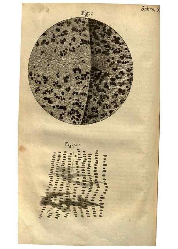 Reproducción/Reproduction 48536249276: Micrographia, or, Some physiological descriptions of minute bodies made by magnifying glasses :. London :Printed by Jo. Martyn and Ja. Allestry, printers to the Royal Society ... ,1665.. 