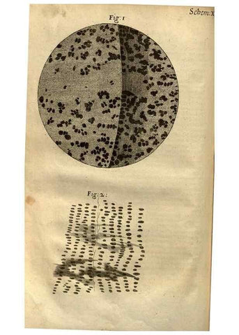 Reproducción/Reproduction 48536249276: Micrographia, or, Some physiological descriptions of minute bodies made by magnifying glasses :. London :Printed by Jo. Martyn and Ja. Allestry, printers to the Royal Society ... ,1665.. 