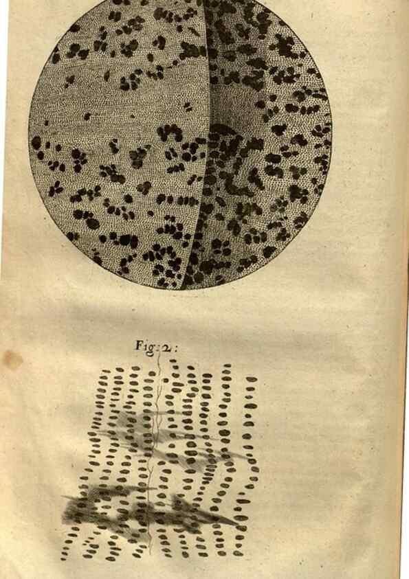 Reproducción/Reproduction 48536249276: Micrographia, or, Some physiological descriptions of minute bodies made by magnifying glasses :. London :Printed by Jo. Martyn and Ja. Allestry, printers to the Royal Society ... ,1665.. 