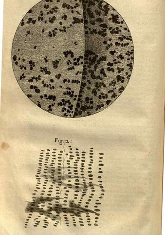 Reproducción/Reproduction 48536249276: Micrographia, or, Some physiological descriptions of minute bodies made by magnifying glasses :. London :Printed by Jo. Martyn and Ja. Allestry, printers to the Royal Society ... ,1665.. 