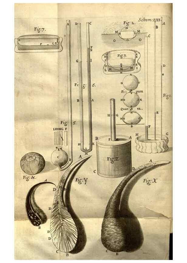 Reproducción/Reproduction 48536245606: Micrographia, or, Some physiological descriptions of minute bodies made by magnifying glasses :. London :Printed by Jo. Martyn and Ja. Allestry, printers to the Royal Society ... ,1665.. 