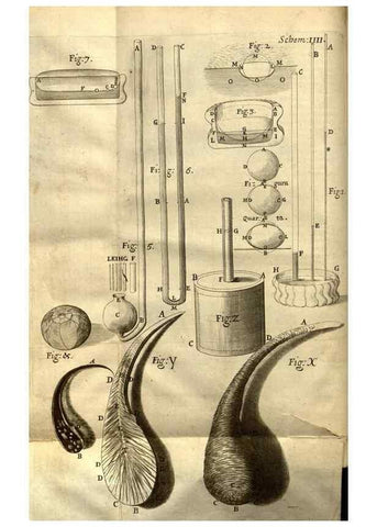 Reproducción/Reproduction 48536245606: Micrographia, or, Some physiological descriptions of minute bodies made by magnifying glasses :. London :Printed by Jo. Martyn and Ja. Allestry, printers to the Royal Society ... ,1665.. 