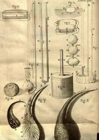 Reproducción/Reproduction 48536245606: Micrographia, or, Some physiological descriptions of minute bodies made by magnifying glasses :. London :Printed by Jo. Martyn and Ja. Allestry, printers to the Royal Society ... ,1665.. 