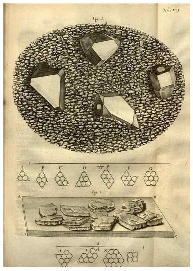 Reproducción/Reproduction 48536395637: Micrographia, or, Some physiological descriptions of minute bodies made by magnifying glasses :. London :Printed by Jo. Martyn and Ja. Allestry, printers to the Royal Society ... ,1665.. 