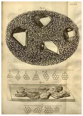 Reproducción/Reproduction 48536395637: Micrographia, or, Some physiological descriptions of minute bodies made by magnifying glasses :. London :Printed by Jo. Martyn and Ja. Allestry, printers to the Royal Society ... ,1665.. 