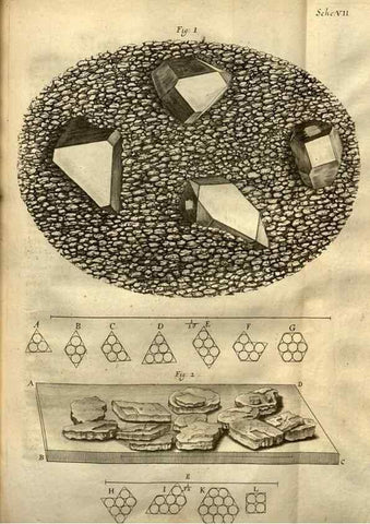 Reproducción/Reproduction 48536395637: Micrographia, or, Some physiological descriptions of minute bodies made by magnifying glasses :. London :Printed by Jo. Martyn and Ja. Allestry, printers to the Royal Society ... ,1665.. 