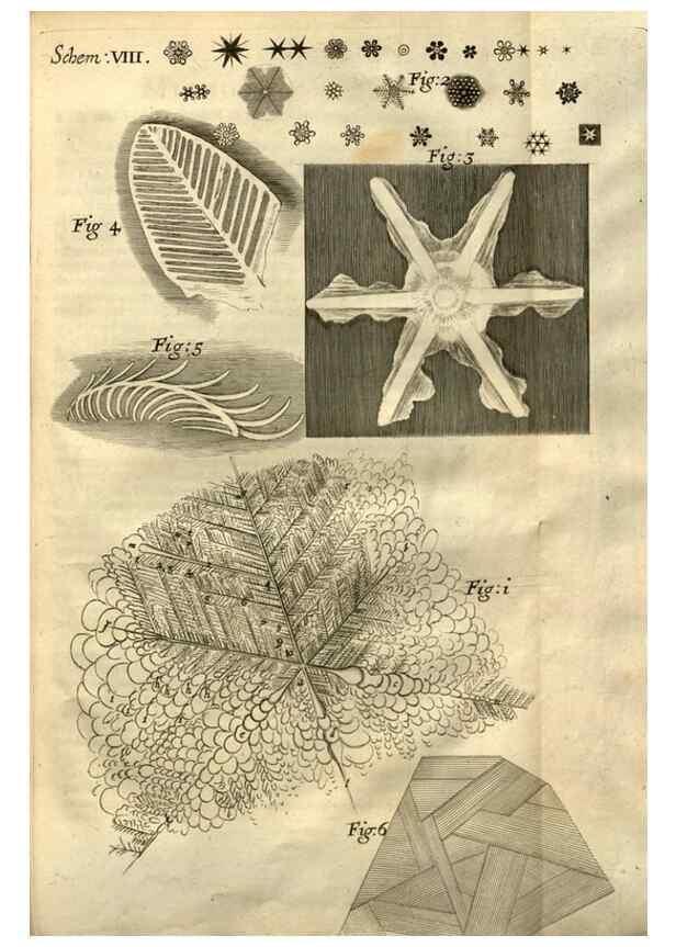 Reproducción/Reproduction 48536248226: Micrographia, or, Some physiological descriptions of minute bodies made by magnifying glasses :. London :Printed by Jo. Martyn and Ja. Allestry, printers to the Royal Society ... ,1665.. 