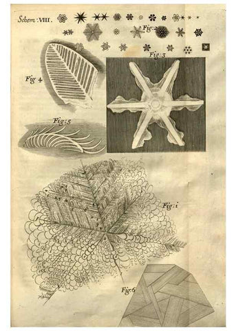 Reproducción/Reproduction 48536248226: Micrographia, or, Some physiological descriptions of minute bodies made by magnifying glasses :. London :Printed by Jo. Martyn and Ja. Allestry, printers to the Royal Society ... ,1665.. 