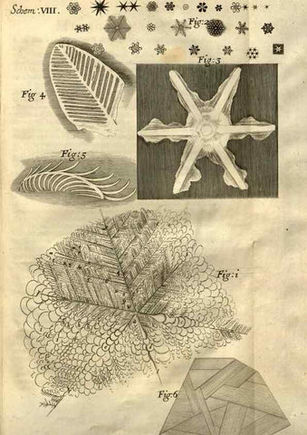 Reproducción/Reproduction 48536248226: Micrographia, or, Some physiological descriptions of minute bodies made by magnifying glasses :. London :Printed by Jo. Martyn and Ja. Allestry, printers to the Royal Society ... ,1665.. 