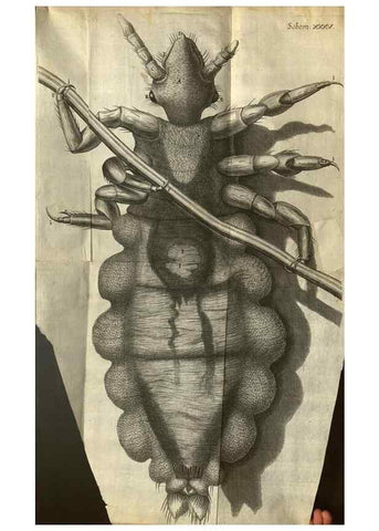 Reproducción/Reproduction 48536407512: Micrographia, or, Some physiological descriptions of minute bodies made by magnifying glasses :. London :Printed by Jo. Martyn and Ja. Allestry, printers to the Royal Society ... ,1665.. 