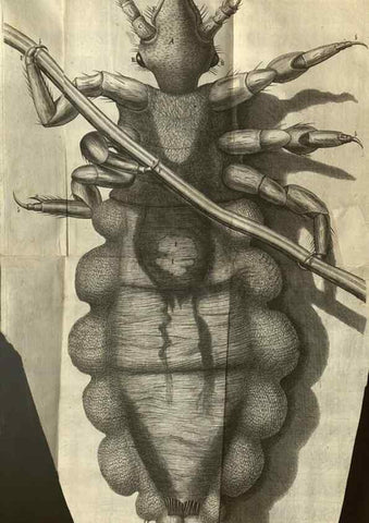 Reproducción/Reproduction 48536407512: Micrographia, or, Some physiological descriptions of minute bodies made by magnifying glasses :. London :Printed by Jo. Martyn and Ja. Allestry, printers to the Royal Society ... ,1665.. 