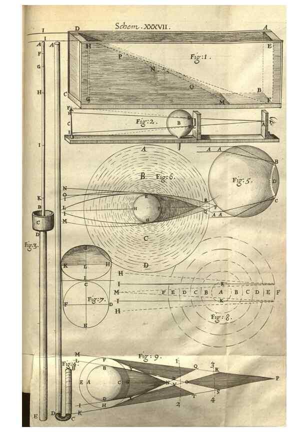 Reproducción/Reproduction 48536261241: Micrographia, or, Some physiological descriptions of minute bodies made by magnifying glasses :. London :Printed by Jo. Martyn and Ja. Allestry, printers to the Royal Society ... ,1665.. 