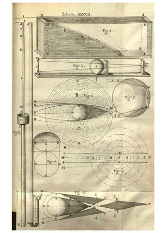 Reproducción/Reproduction 48536261241: Micrographia, or, Some physiological descriptions of minute bodies made by magnifying glasses :. London :Printed by Jo. Martyn and Ja. Allestry, printers to the Royal Society ... ,1665.. 