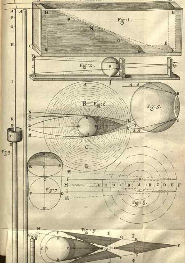Reproducción/Reproduction 48536261241: Micrographia, or, Some physiological descriptions of minute bodies made by magnifying glasses :. London :Printed by Jo. Martyn and Ja. Allestry, printers to the Royal Society ... ,1665.. 