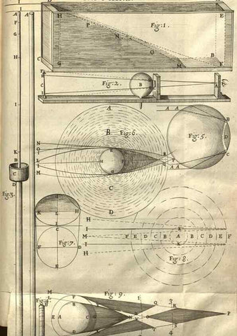 Reproducción/Reproduction 48536261241: Micrographia, or, Some physiological descriptions of minute bodies made by magnifying glasses :. London :Printed by Jo. Martyn and Ja. Allestry, printers to the Royal Society ... ,1665.. 