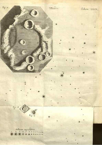 Reproducción/Reproduction 48536408792: Micrographia, or, Some physiological descriptions of minute bodies made by magnifying glasses :. London :Printed by Jo. Martyn and Ja. Allestry, printers to the Royal Society ... ,1665.. 