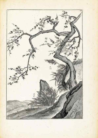 Reproducción/Reproduction 48583700191: [Recueil des plantes dessinées et gravées par ordre du roi Louis XIV].. Paris :Impr. royale,1786. 