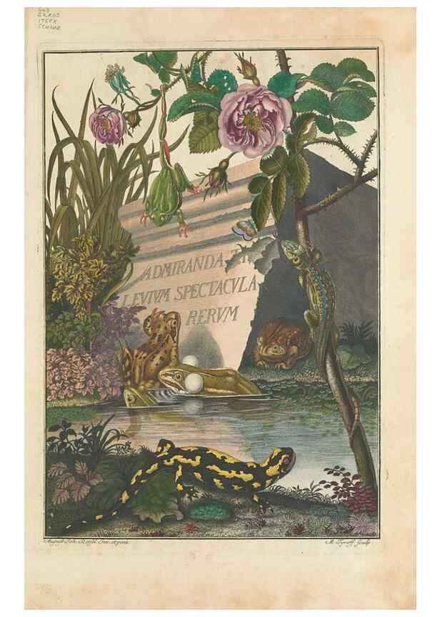Reproducción/Reproduction 48519588182: Historia naturalis ranarum nostratium :. Nürnberg :gedrucht bey Johann Joseph Fleischmann,1758.. 