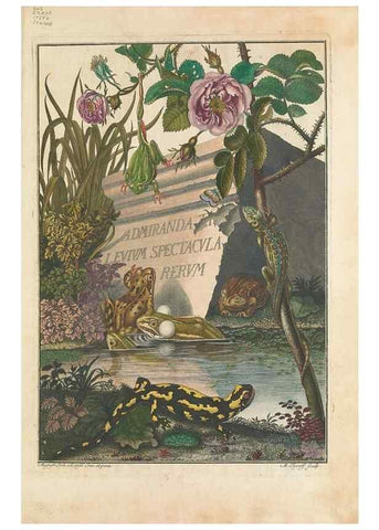 Reproducción/Reproduction 48519588182: Historia naturalis ranarum nostratium :. Nürnberg :gedrucht bey Johann Joseph Fleischmann,1758.. 