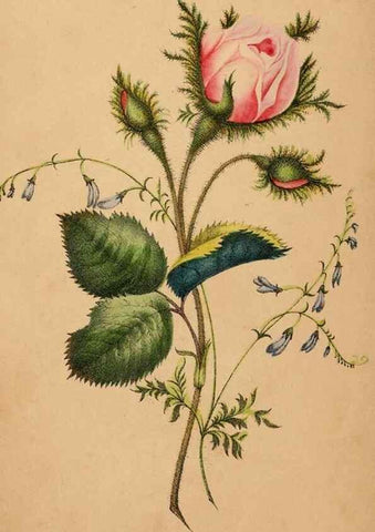 Reproducción/Reproduction 48592331726: The lady's book of flowers and poetry:. New York :J.C. Riker,1846, c1841.. 
